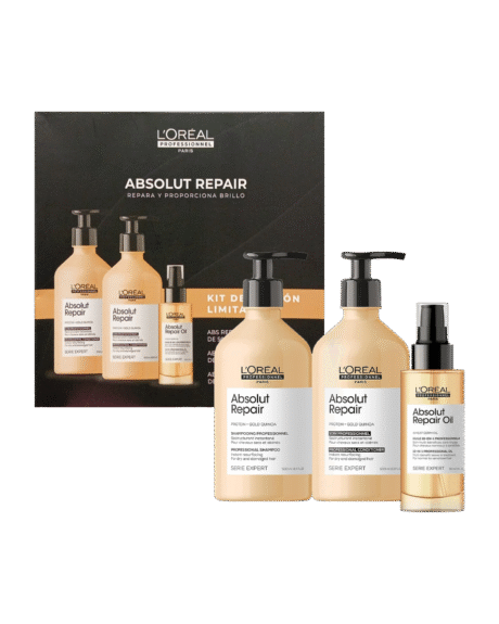 absolut repair