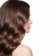 pelo