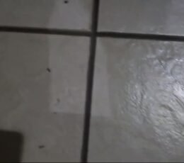 SEBASTIAN WHIPPED CREMA 150ML 20060 1jpeg