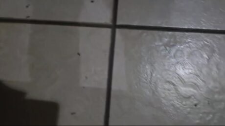 SEBASTIAN WHIPPED CREMA 150ML 20060 1jpeg