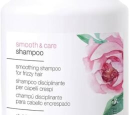 SIMPLY ZEN SMOOTH CARE SHAMPOO FOR FRIZZ HAIR 250ML 86116 1jpeg - Desstenee Supply SIMPLY ZEN SMOOTH CARE SHAMPOO FOR FRIZZ HAIR 250ML 86116 1jpeg