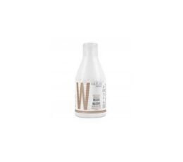 SALERM ACONDICIONADOR NUTRITIVO GERMEN DE TRIGO 300ML 86868 1jpeg